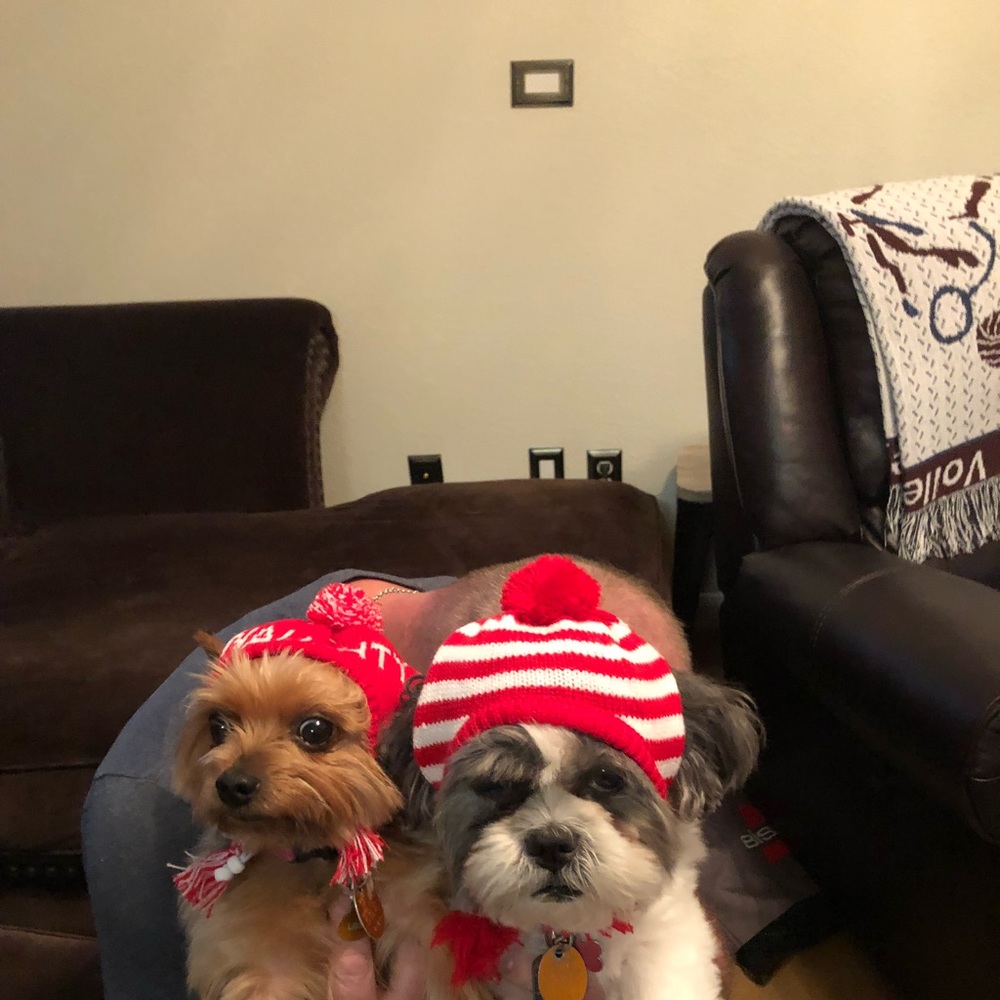 Meet your Posher, Melanie